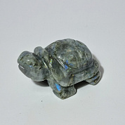 Черепаха лабрадор 53*35*28 мм фото